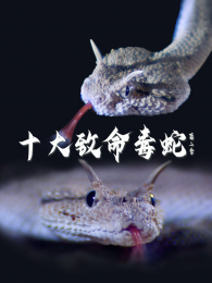 ʮ�����������������2��