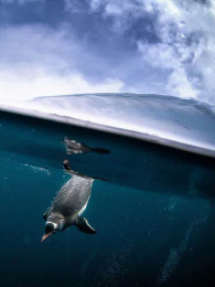 �ص����֮��