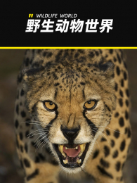 Ұ����������