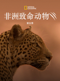 �������������4��