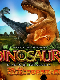 �������������ǵľ���