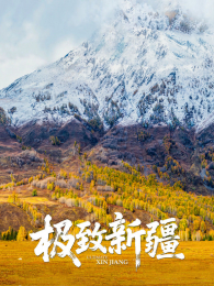 �����½�