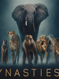 ������2��