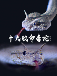 ʮ���������ߵ�2��