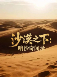 ɳĮ֮����ɳ����¼