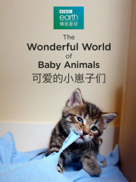 �ɰ���С���������İ�