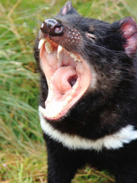 ��õ�������