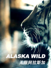 ���ް���˹��