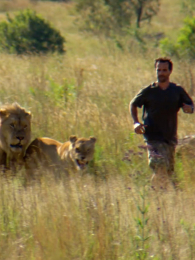 ʨ�����ж�