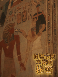 ͼ̹���ɱ��ص�����