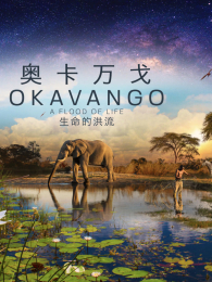 �¿���������ĺ���