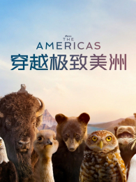 ��Խ��������