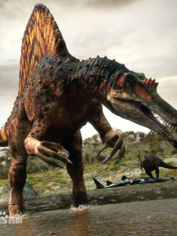 ԭʼ����������