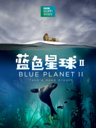 ��ɫ�����2�����İ�