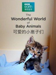 �ɰ���С������