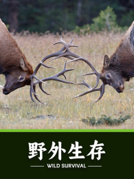 Ұ������