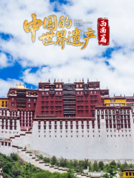 �й��������Ų�����ƪ