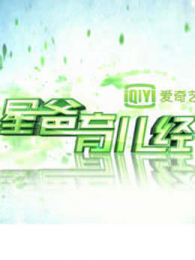 �ǰ�������