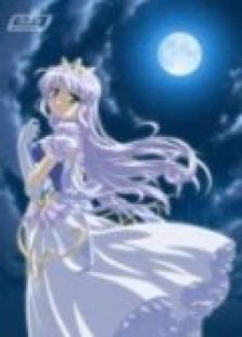 ����ǰ������ɫ