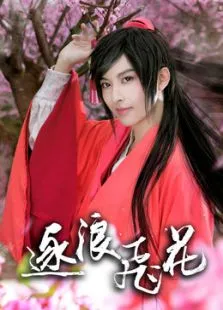 逐浪飞花之武林外史动漫海报