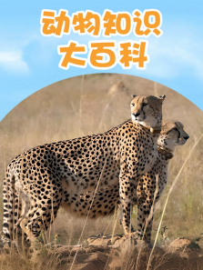 ����֪ʶ��ٿ�