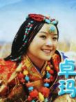 小卓玛动漫海报