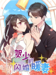 贺少的闪婚暖妻动漫海报