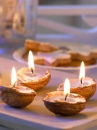 ¶СѧȤζʵ顪ʱ仯