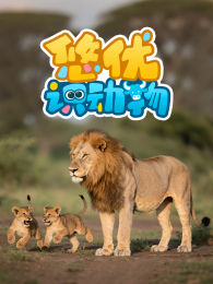 ����ʶ����