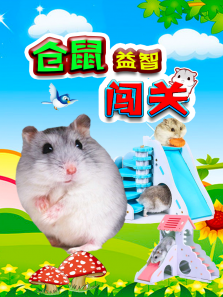 Ǵضȫ