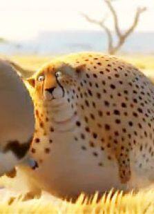 ʰҵȫ
