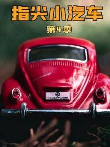 玫瑰汽车旅馆4