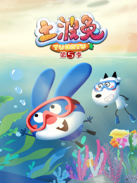 �����õ�5��