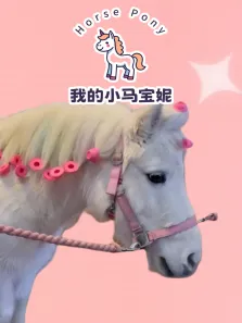 我的小马宝妮动漫海报