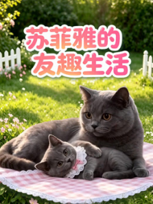 苏菲雅的友趣生活动漫海报