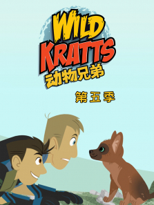 �����ֵ�5