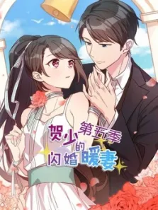 贺少的闪婚暖妻第5季动漫海报