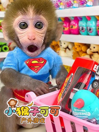 С���ӿɿɻ�����Ϸ