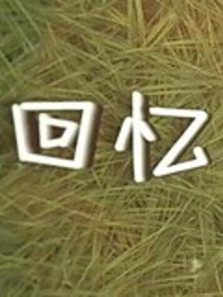 回忆录像带动漫海报