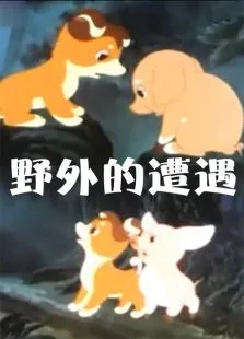 野外的遭遇动漫海报