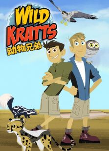 �����ֵ� ������