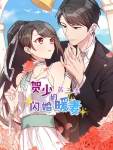 贺少的闪婚暖妻第3季动漫海报