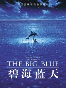 碧海蓝天电影海报