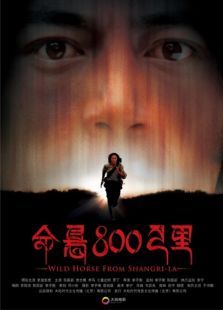 ����800����