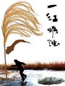 һ������