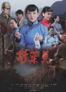 野茱萸电影海报