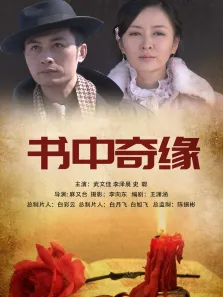 书中奇缘电影海报