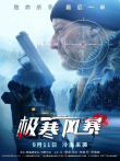 极寒风暴电影海报