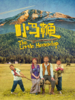 小马鞭电影海报