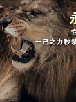鬣狗杀手银泰杜梅拉 曾以一己之力秒杀两届鬣狗女王电影海报